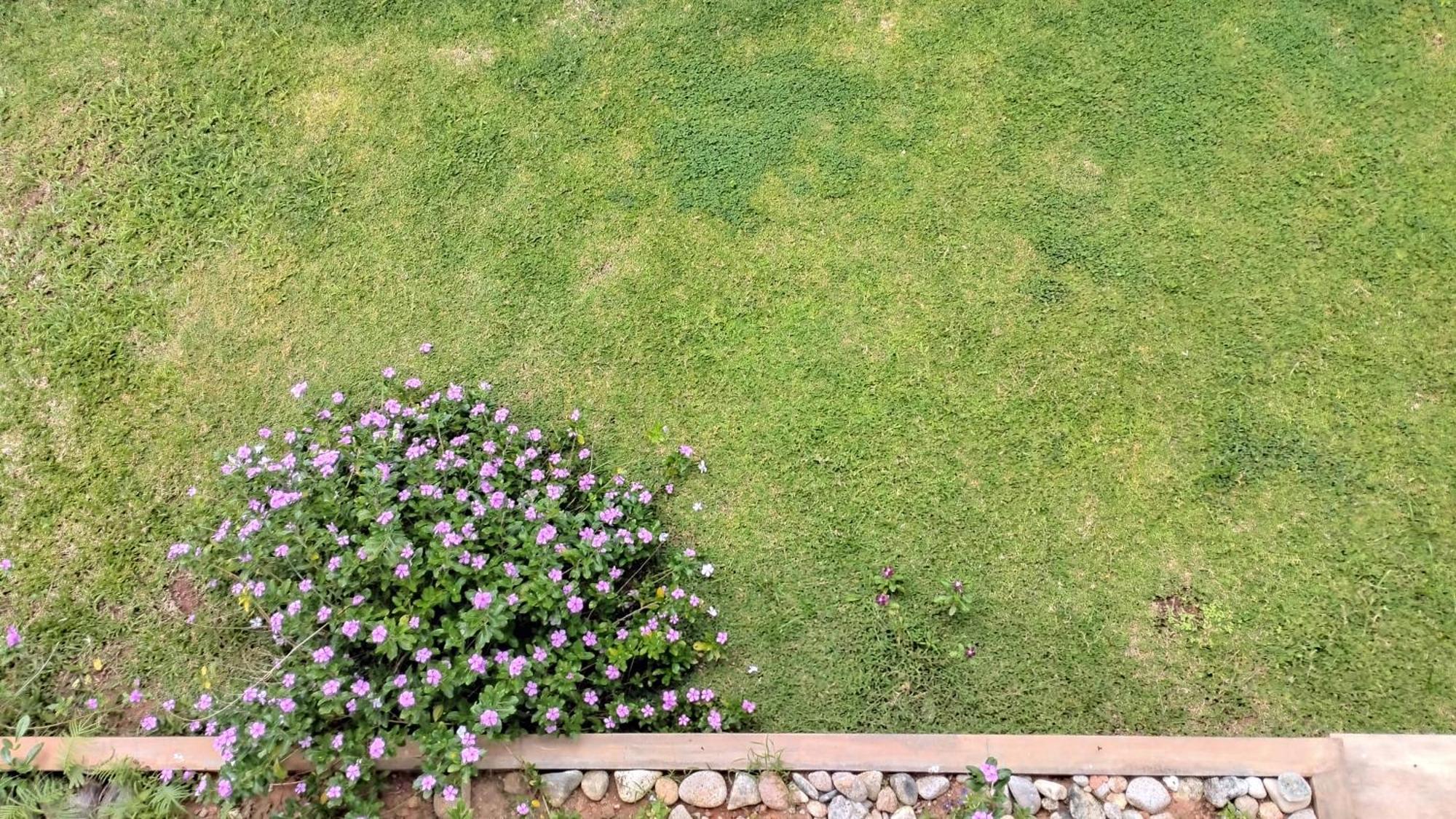 Dovass Self Catering Apartments タカマカ エクステリア 写真