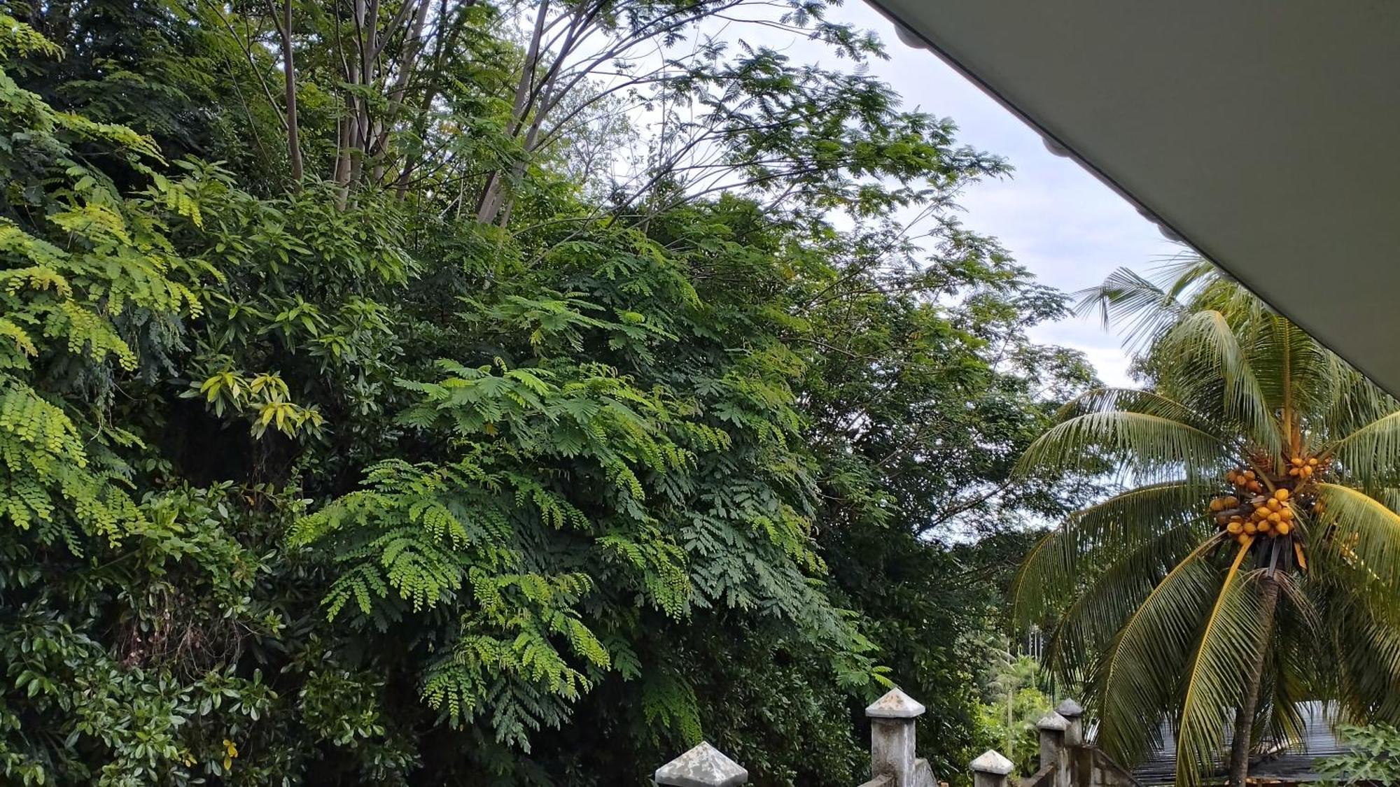 Dovass Self Catering Apartments タカマカ エクステリア 写真