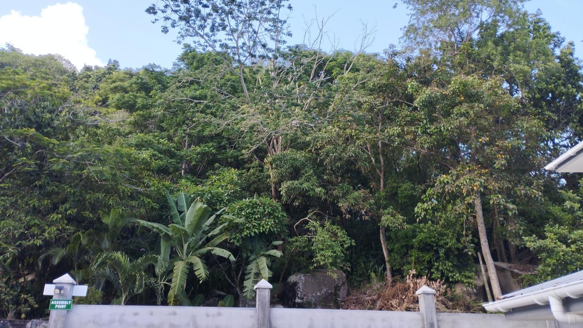 Dovass Self Catering Apartments タカマカ エクステリア 写真