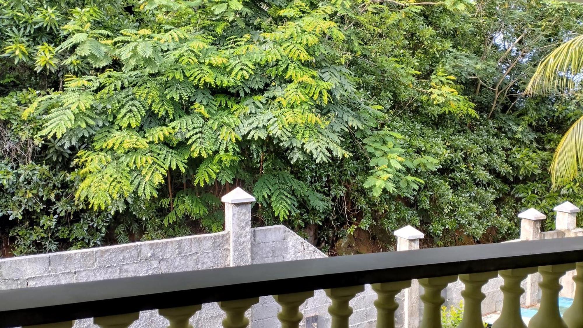 Dovass Self Catering Apartments タカマカ 部屋 写真